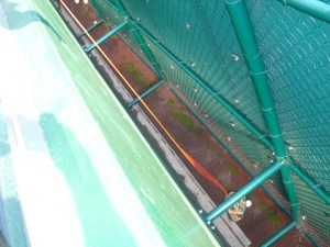 glove trick in the gap