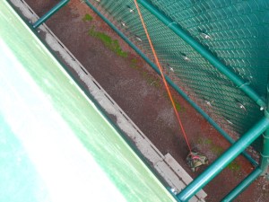 A shot of me glove-tricking from last September. Same concept.