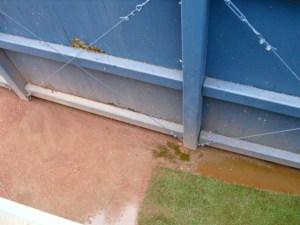 Gap in left-center from where I plucked the ball.