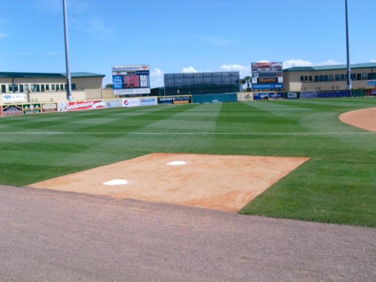 at Roger Dean Stadium