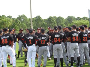 Marlins minor leaguers