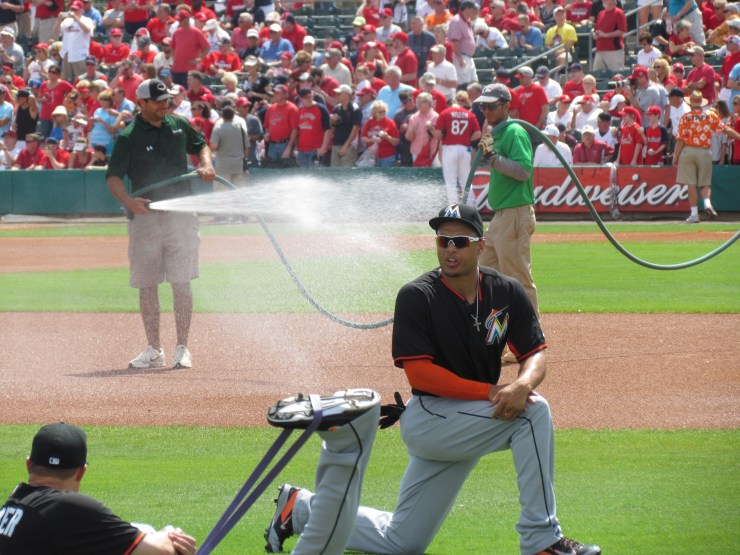 Giancarlo Stanton stretching again