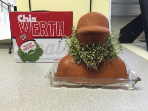 Chia Werth in growth from Billy Armstrong
