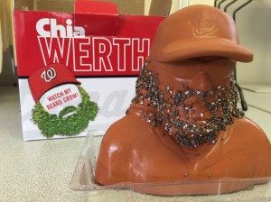 Chia Werth in progress