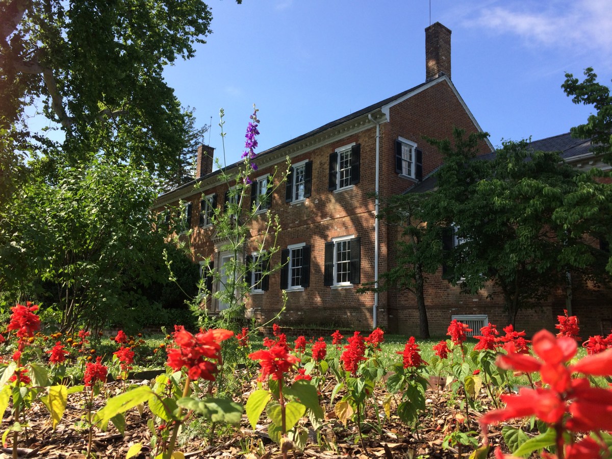 City Map: Fredericksburg, Virginia