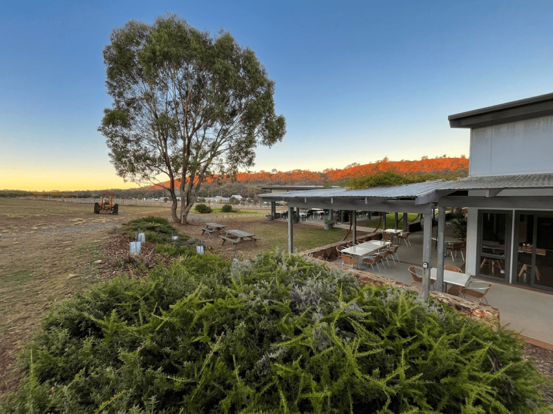 Postcard: Canberra, Australia